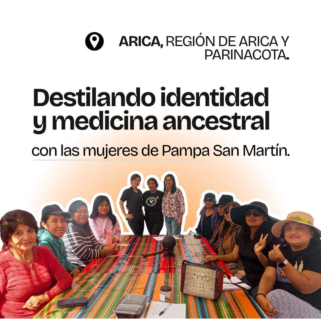 Gráfica del proyecto Centro de Saberes, Arica, Región de Arica y Parinacota