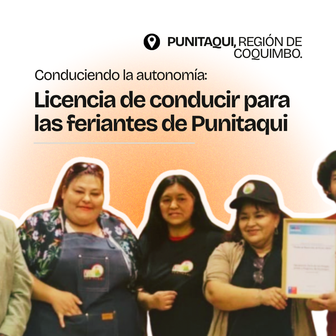 Gráfica del proyecto Mujeres conduciendo, Punitaqui, Región de Coquimbo