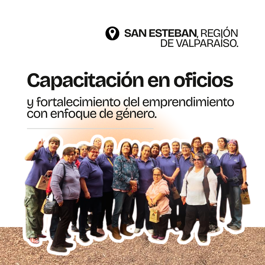 Gráfica del proyecto Oficios propios, San Esteban, Región de Valparaíso