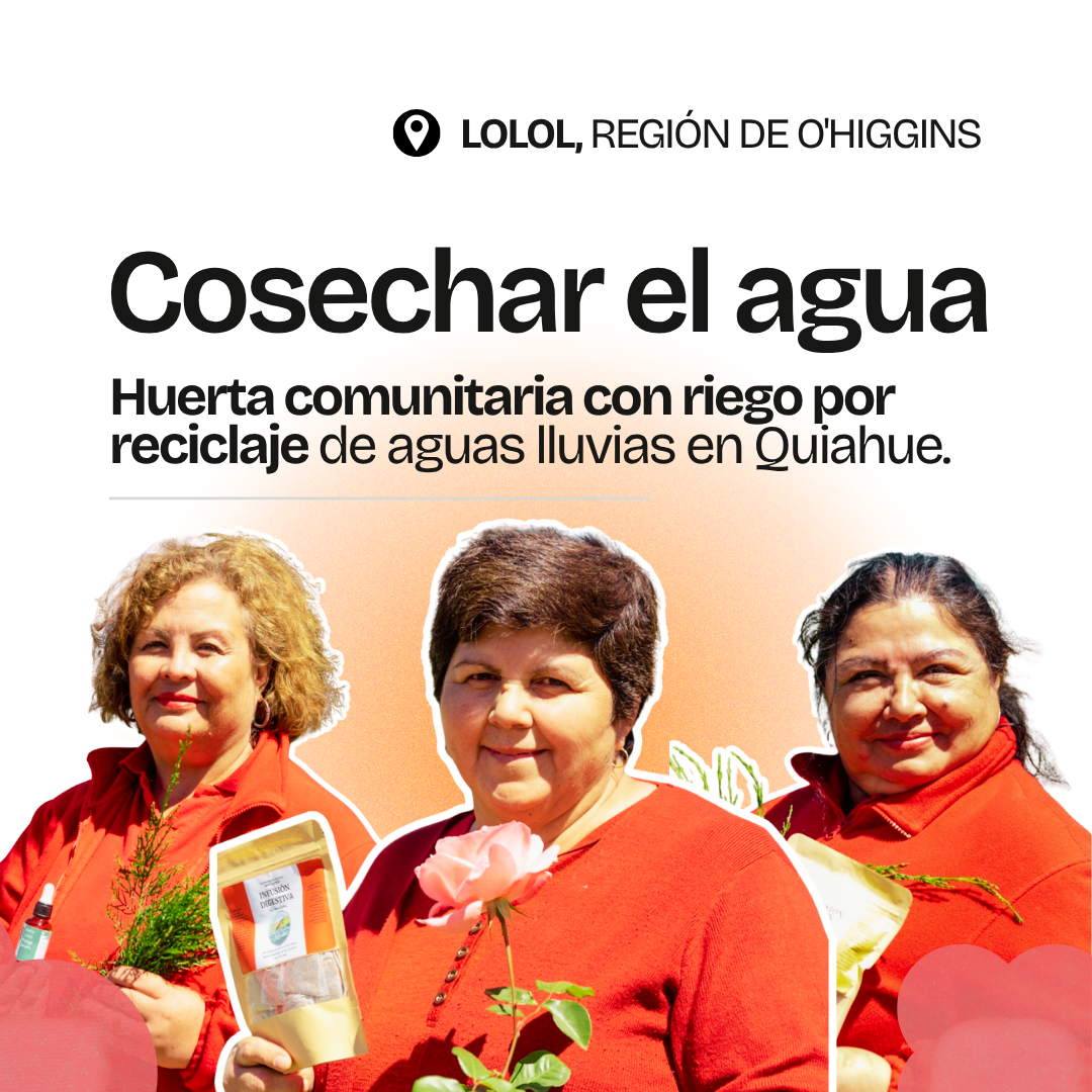 Gráfica del proyecto Cosechar el agua, Lolol, Región de O'Higgins