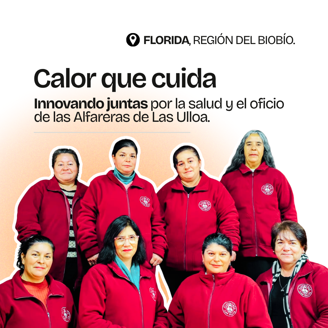 Gráfica del proyecto Calor que cuida, Florida, Región del Biobío