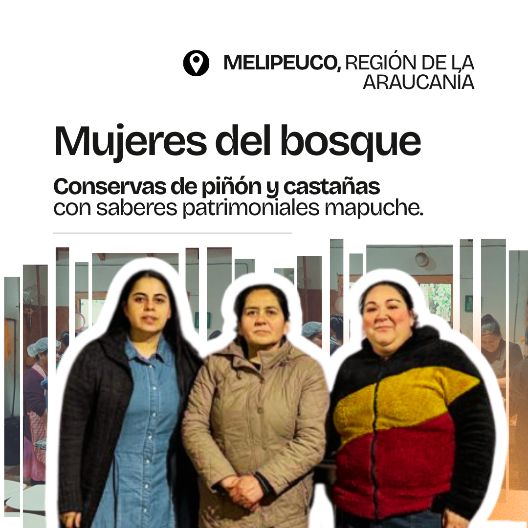 Gráfica del proyecto Mujeres del bosque, Melipeuco, Región de La Araucanía