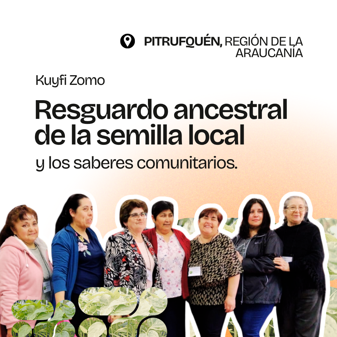 Gráfica del proyecto Kuyfi Zomo, Pitrufquén, Región de La Araucanía