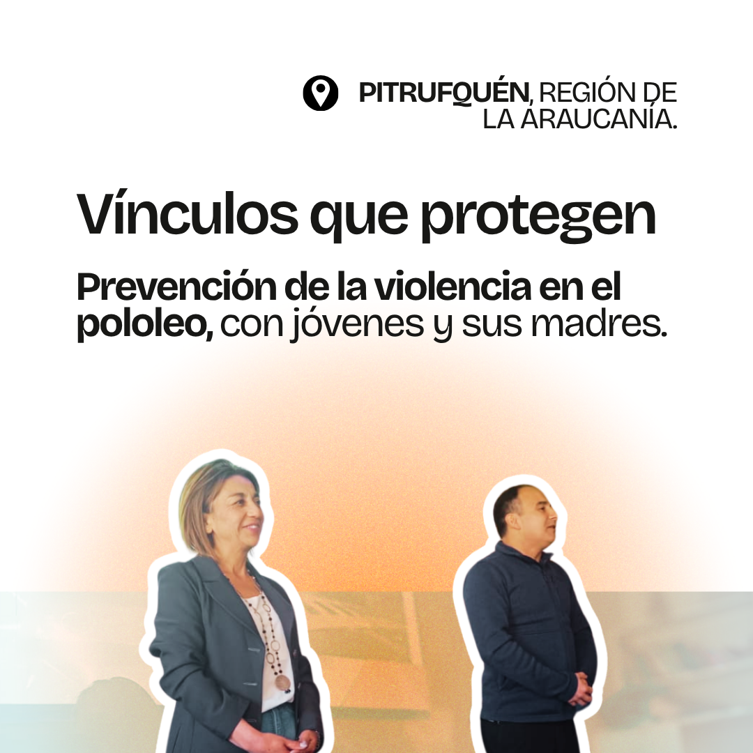 Gráfica del proyecto Vínculos que protegen, Pitrufquén, Región de La Araucanía