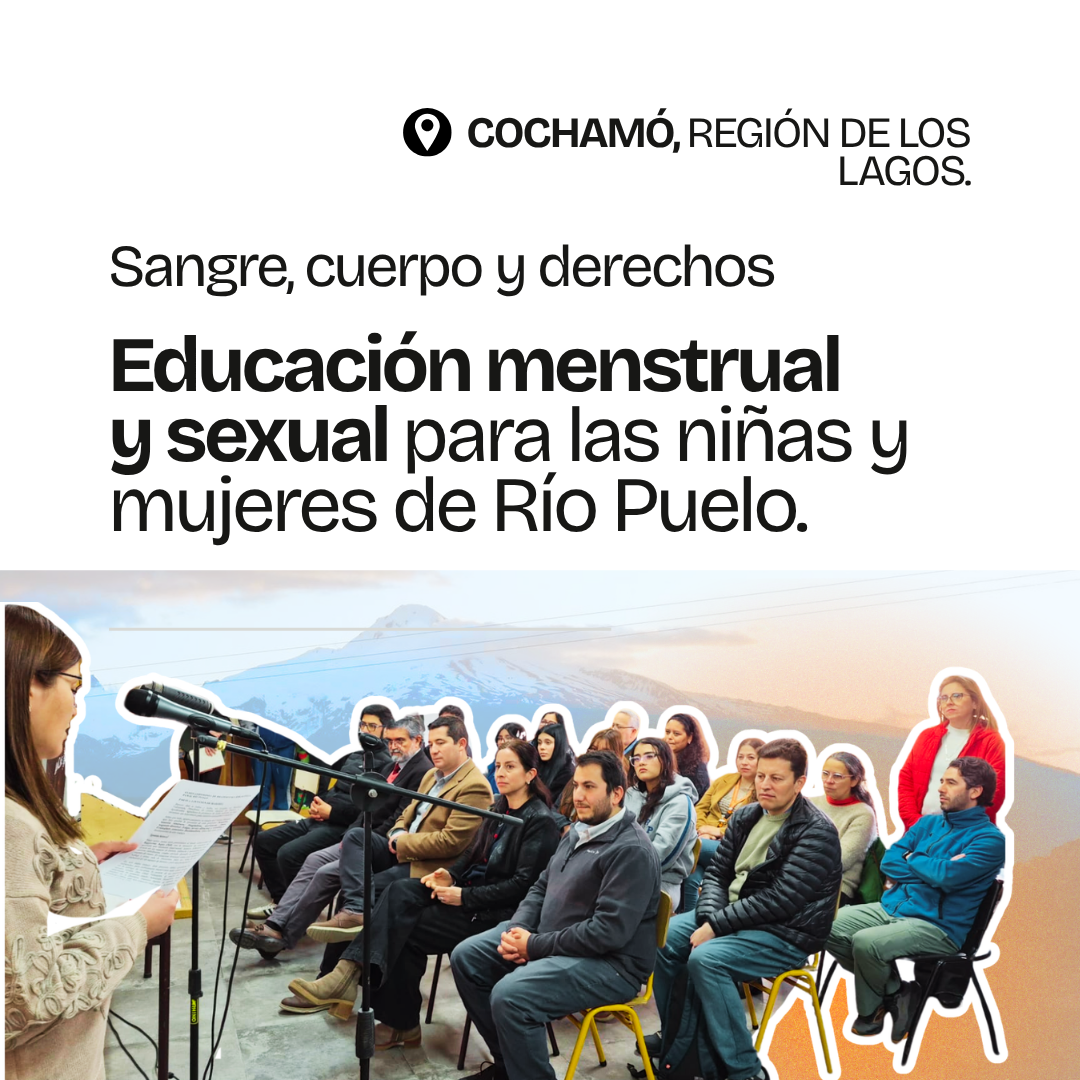 Gráfica del proyecto Sangre, cuerpo y derechos, Cochamó, Región de Los Lagos