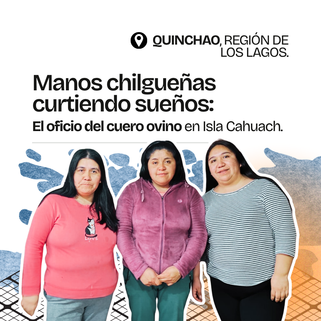 Gráfica del proyecto Manos chilgueñas, Quinchao, Región de Los Lagos