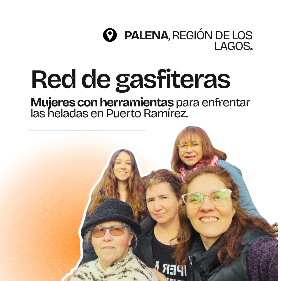 Gráfica del proyecto Red de gasfiteras, Palena, Región de Los Lagos