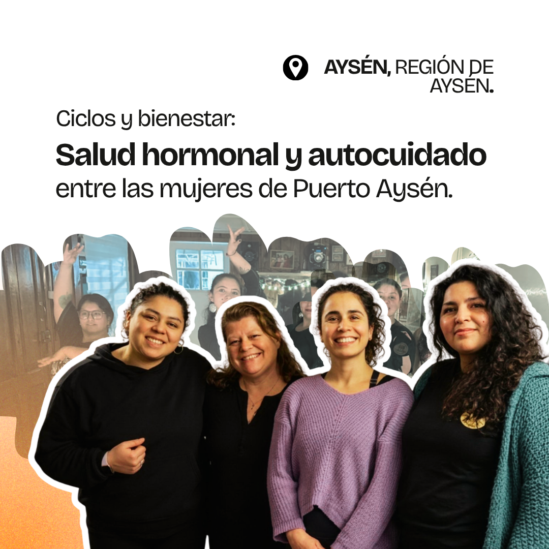 Gráfica del proyecto Ciclos y bienestar, Aysén, Región de Aysén